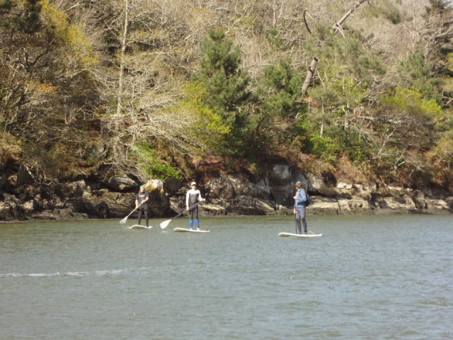  Paseo en stand up paddle en el 29 